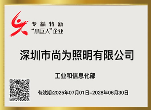 专精特新小巨人企业