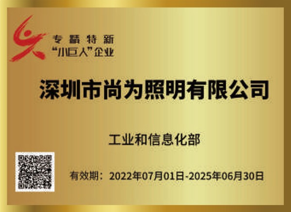 专精特新小巨人企业